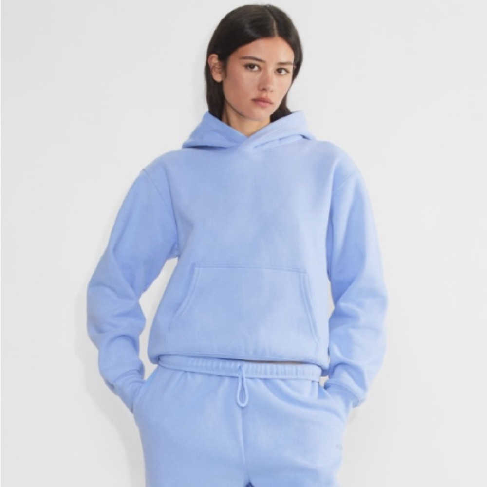 Aritzia Perfect Hoodie